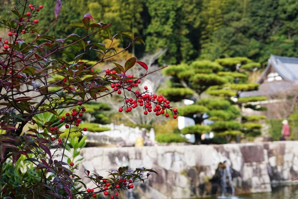 まきび公園