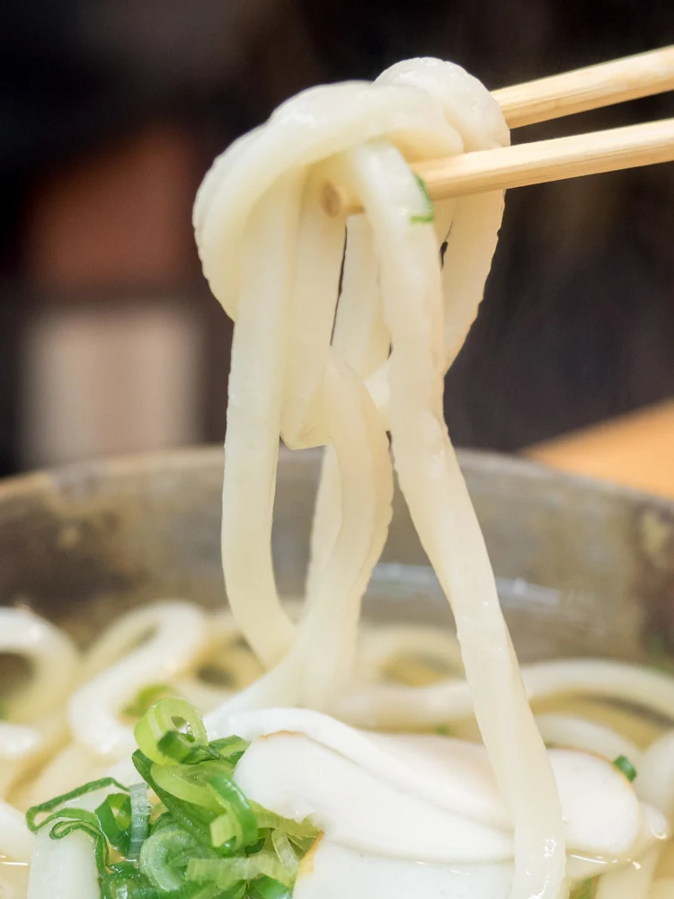 ふじ心:かけうどんの麺