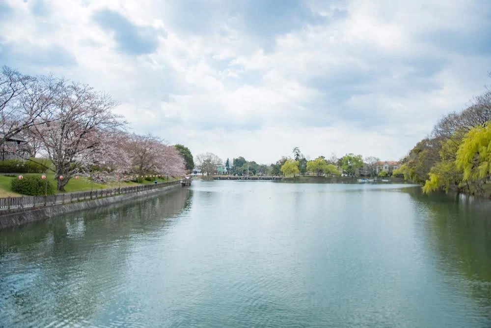 酒津公園