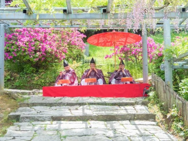藤見の会(令和元年開催) 〜 阿智神社の日本一の「阿知の藤」と雅楽・茶席を楽しむ祭り
