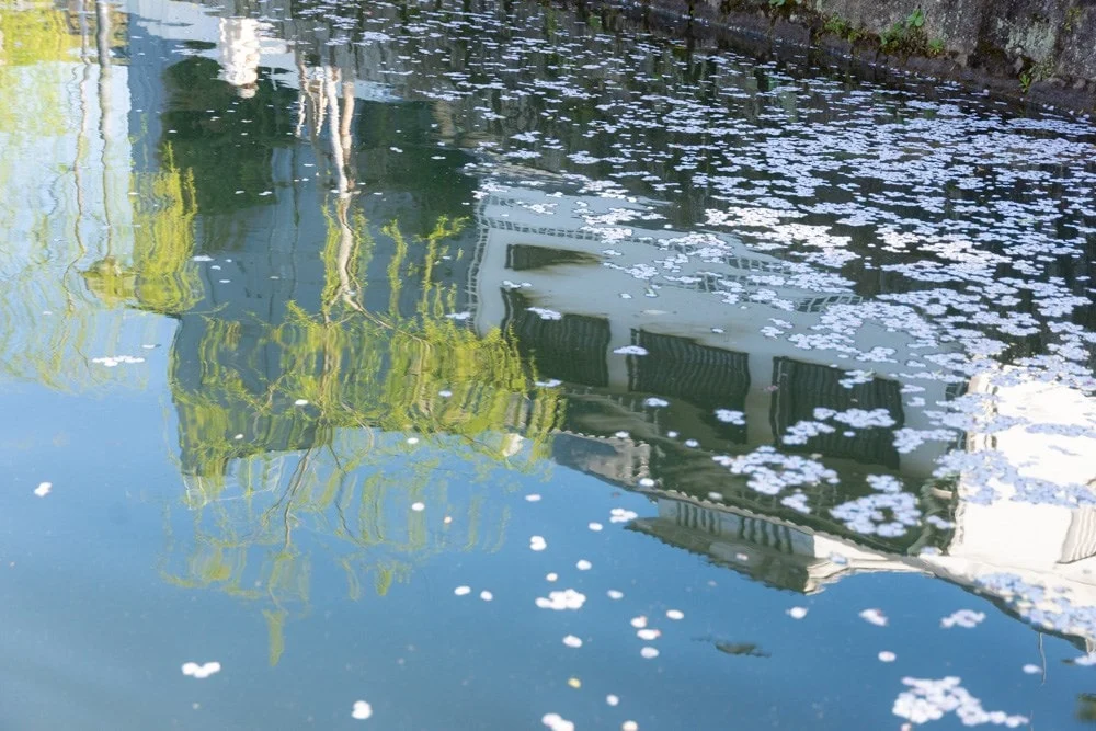 くらしき川舟流し 水面