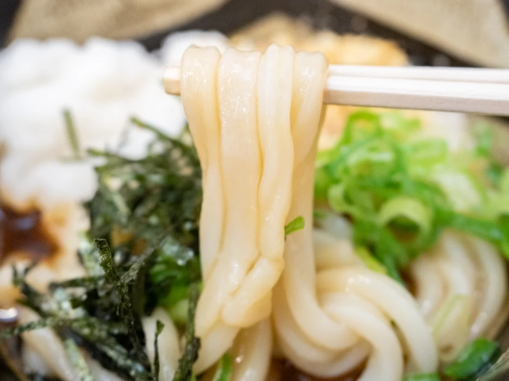 ふるいちの「おろしぶっかけ」