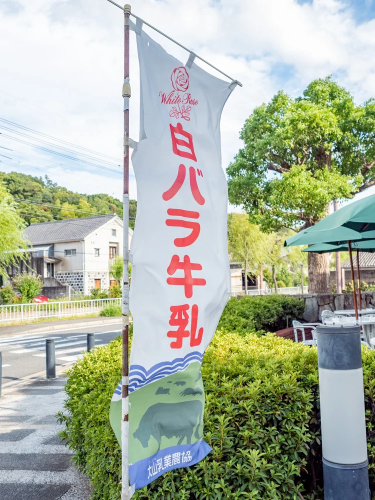 カフェ くらしき芸文館の店頭の白バラ牛乳ののぼり