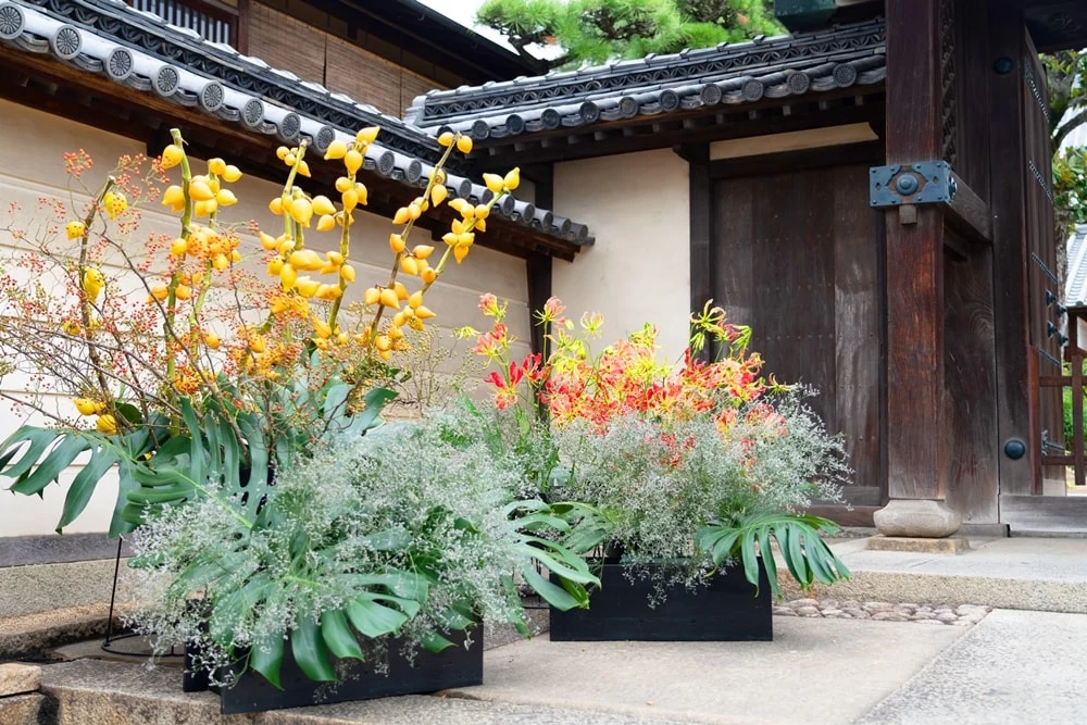 【屏風祭2019】生け花