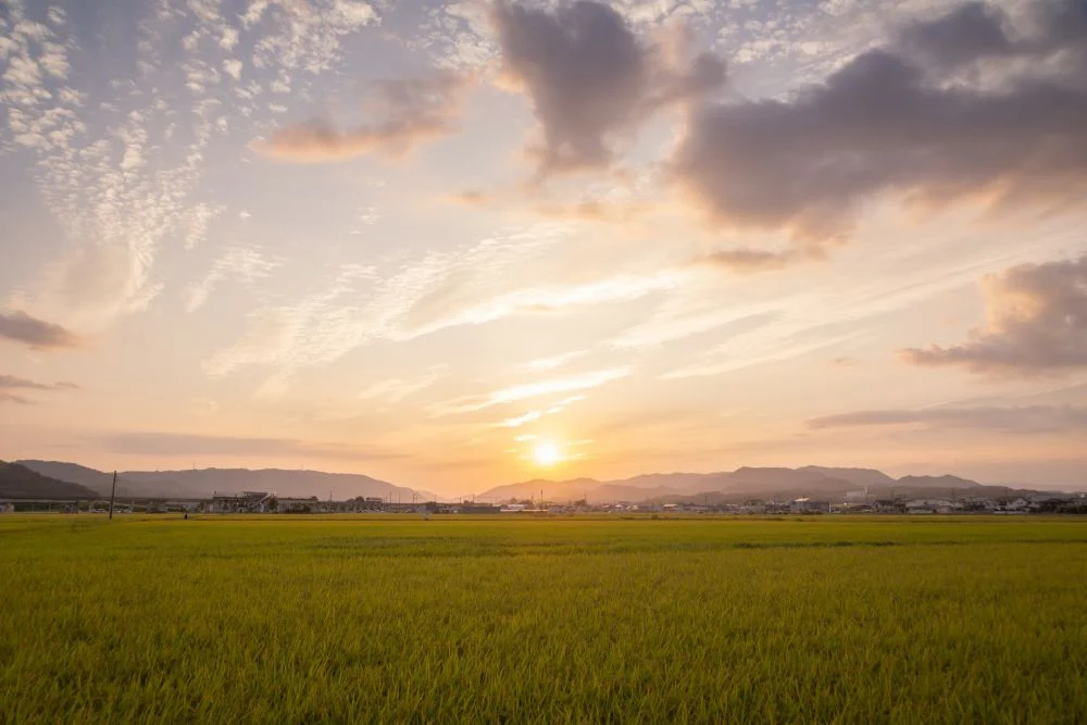 川辺駅付近　夕焼け