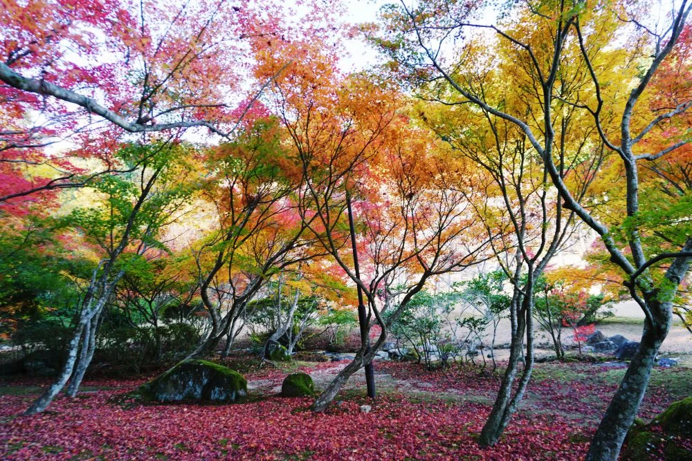 まきび公園