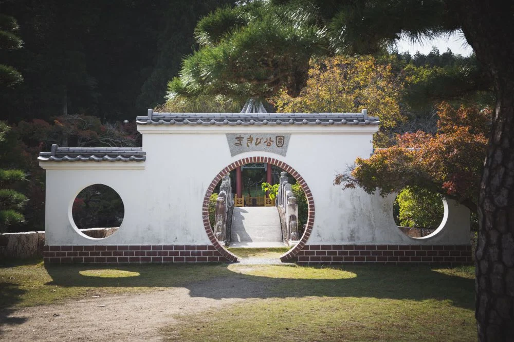 まきび公園 紅葉 2019年11月
