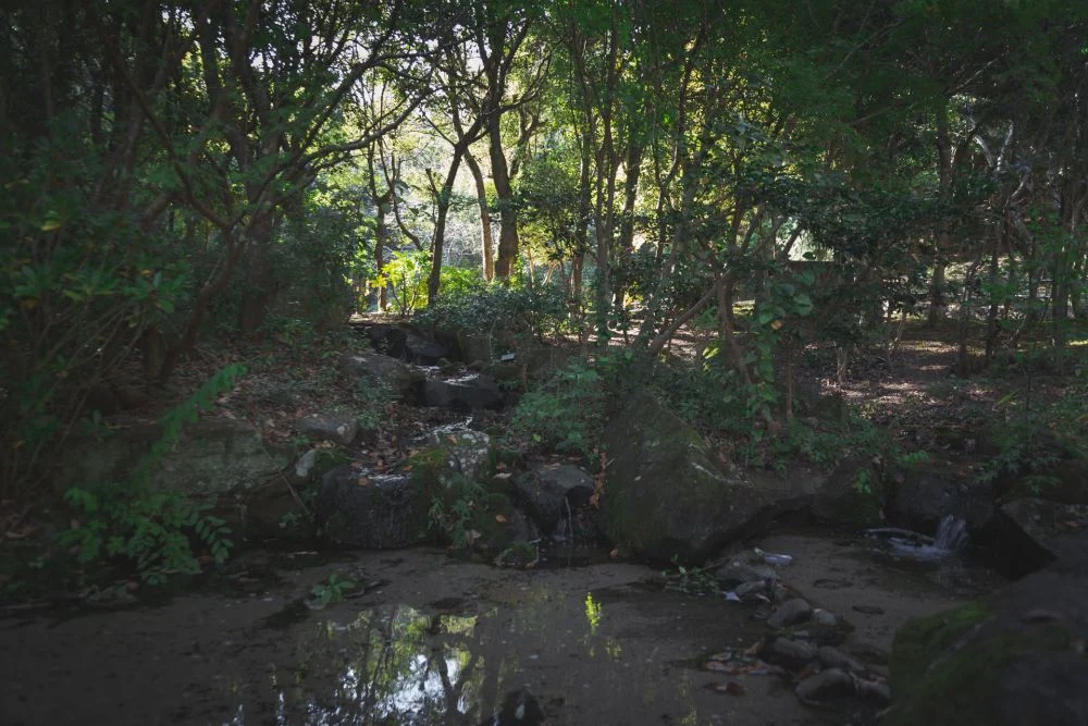 まきび公園 流水