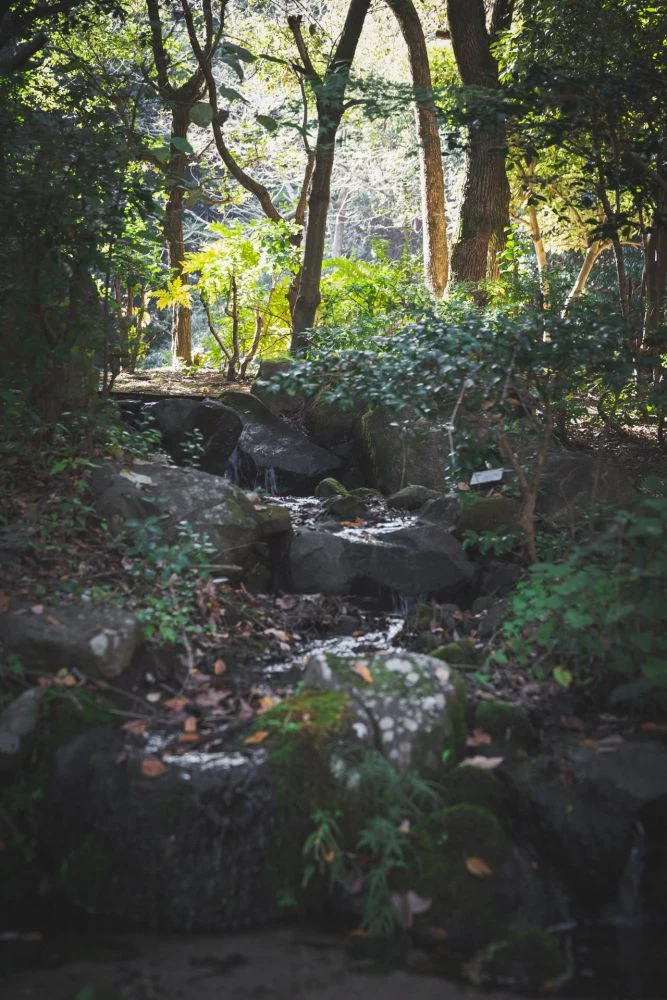 まきび公園 流水