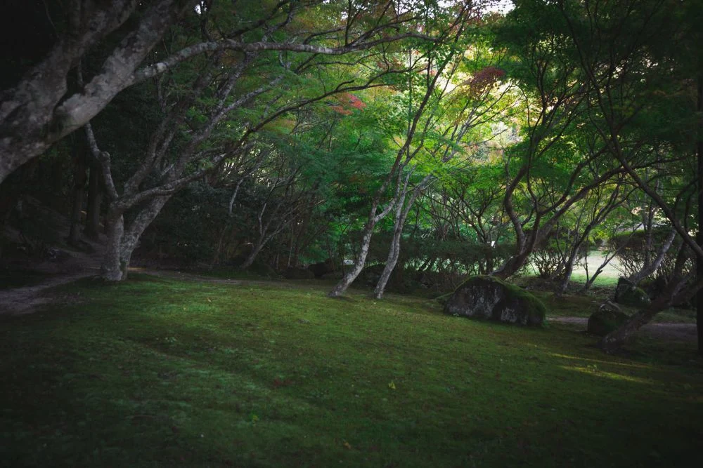 まきび公園