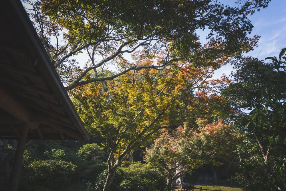まきび公園 竹葉庵