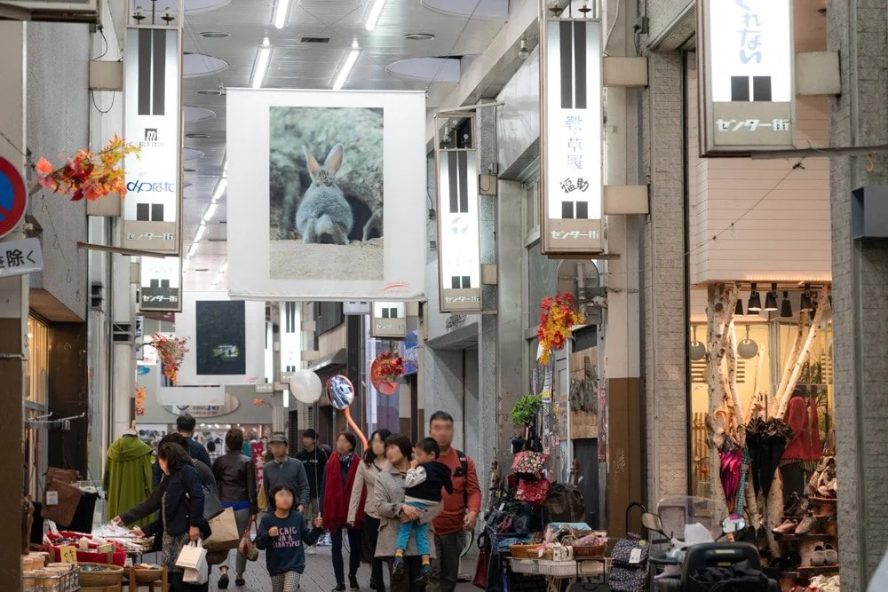 倉敷フォトミュラル 商店街展示