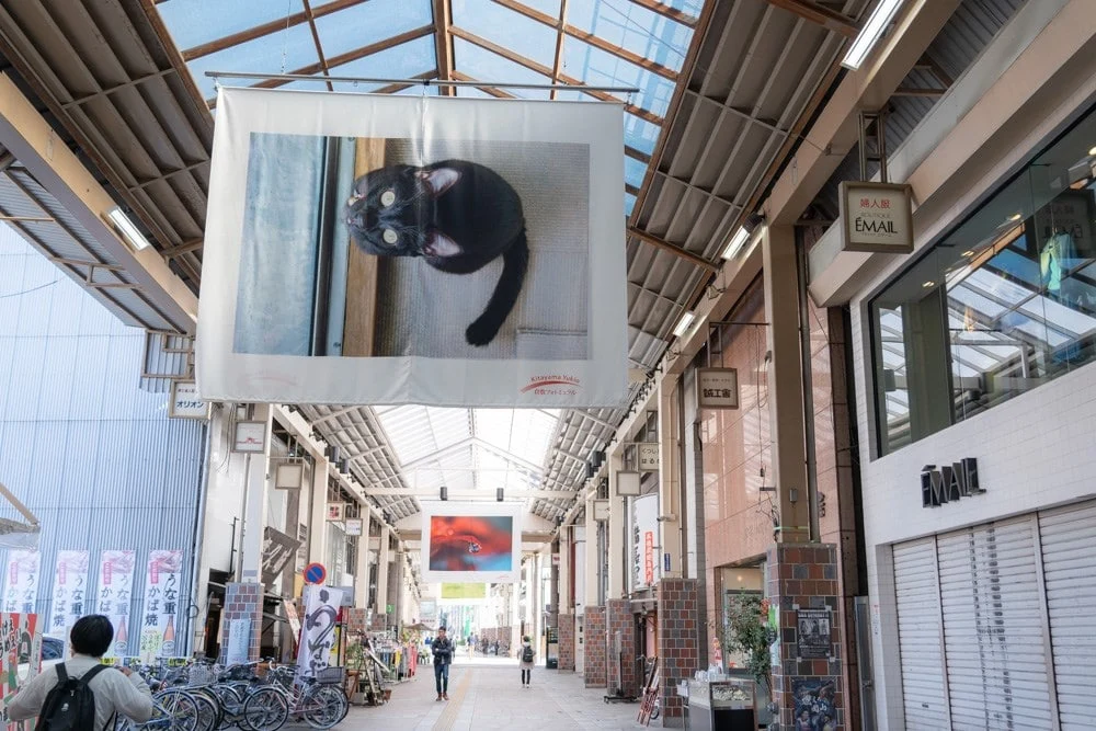 倉敷フォトミュラル 商店街展示