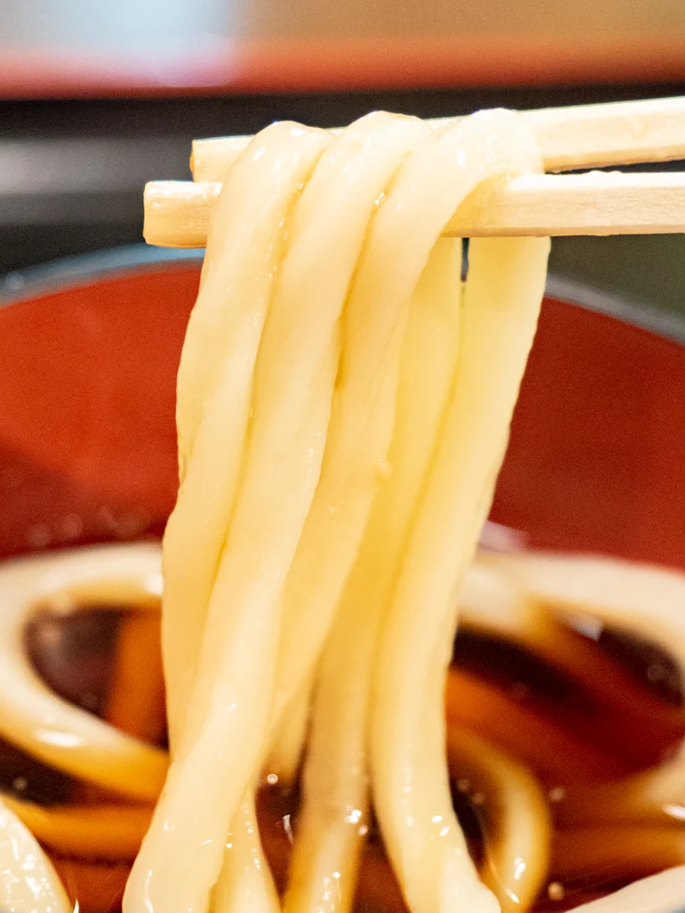 すぎ茶屋:上天ざるうどんの麺