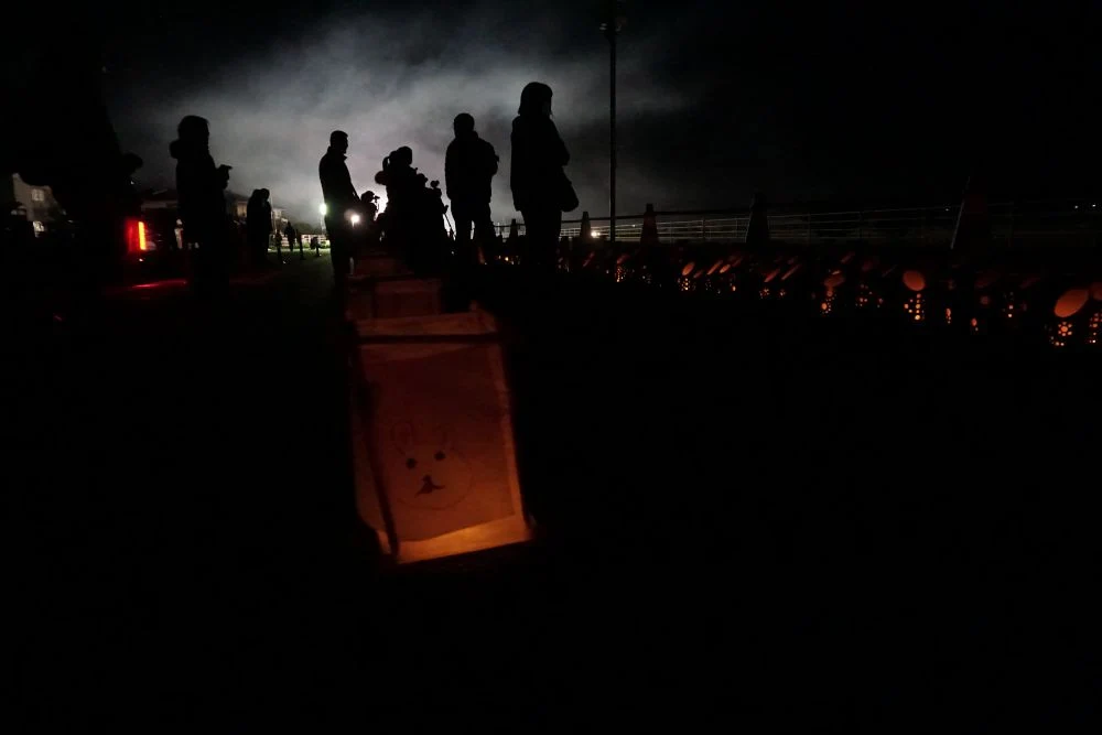 復興阿吽祭2019 竹あかりと竹灯籠