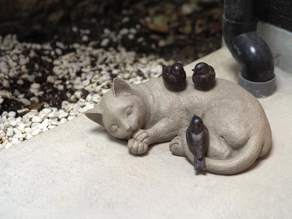 虹色商店 猫