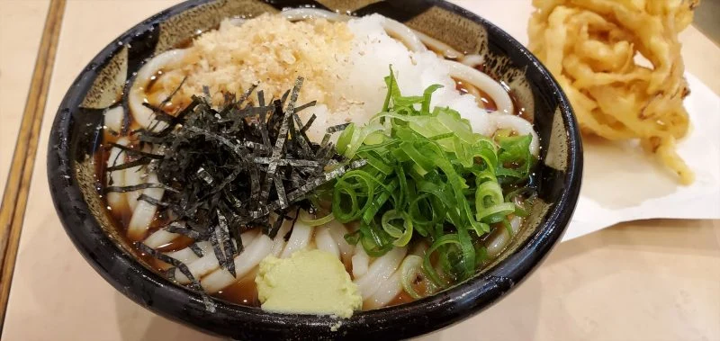 連日の「ぶっとろ」。とろろうどん美味しい