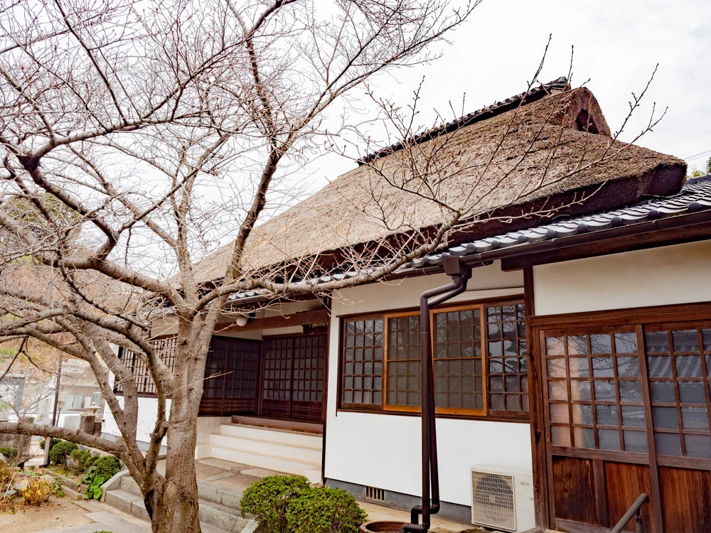 長連寺:本堂