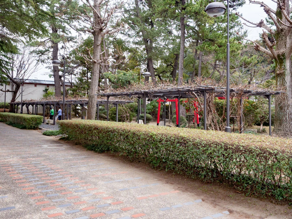 城山稲荷神社の藤棚