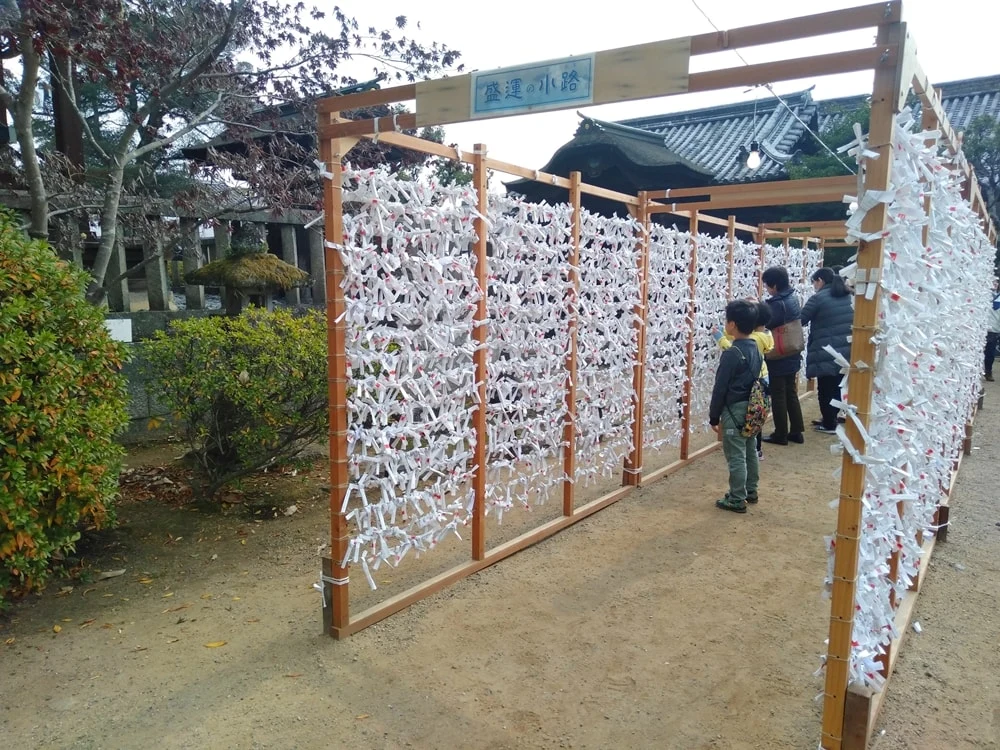 【阿智神社初詣】おみくじを結ぶ