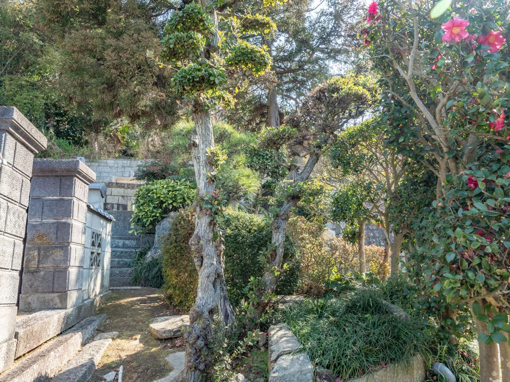教善寺:墓地入口から遠州井への道