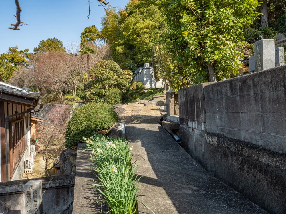 教善寺:墓地入口から遠州井への道