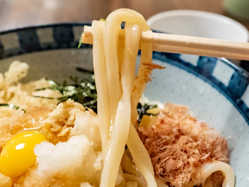 おおにし:おろしぶっかけうどん(冷)