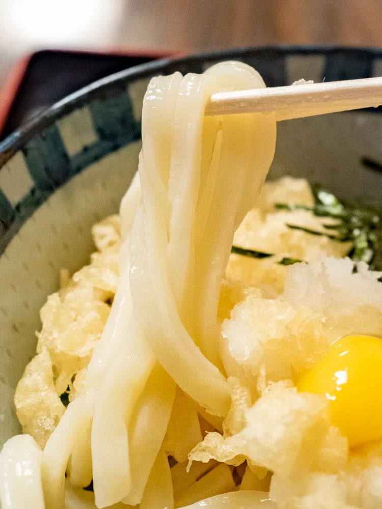 おおにし:おろしぶっかけうどん(冷)