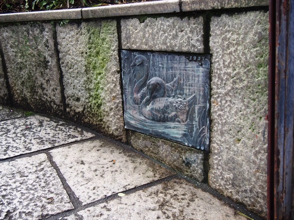 旅館くらしき 裏手口の白鳥