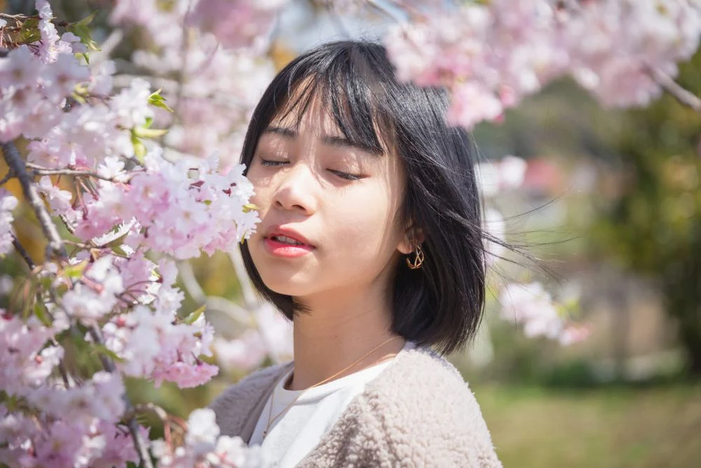 まきびさくら公園 八重桜