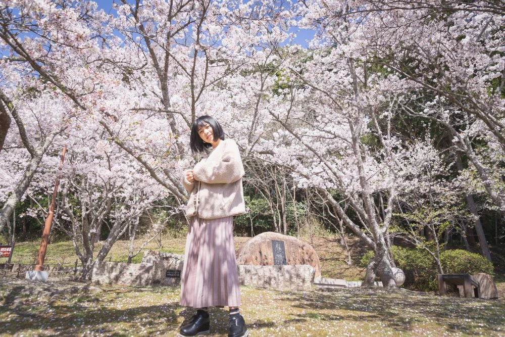 歴史ロマンあふれる町をゆっくり。桜舞う自然豊かな真備町を春さんぽ
