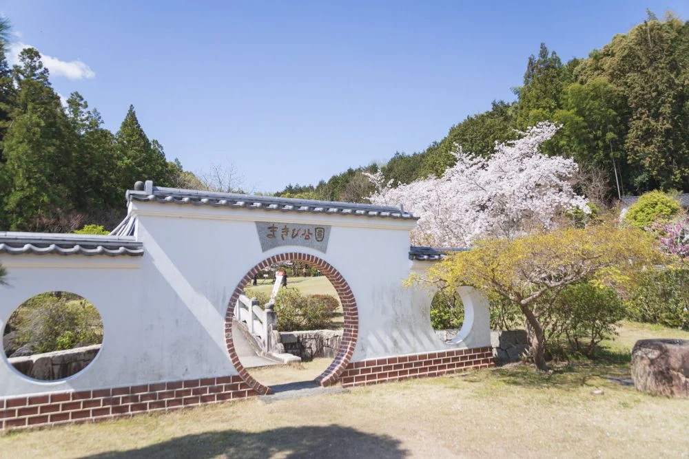 まきび公園 春