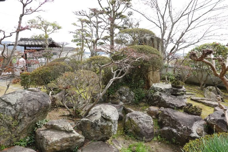 疎開宅 庭