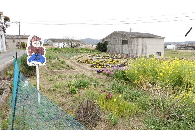 金田一畑
