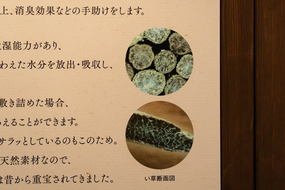 いぐさ屋花莚 い草断面図