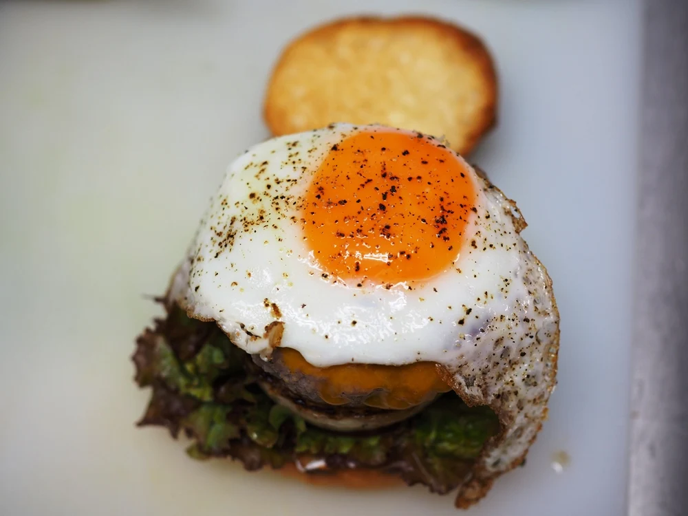 QINOCO トリトンバーガー