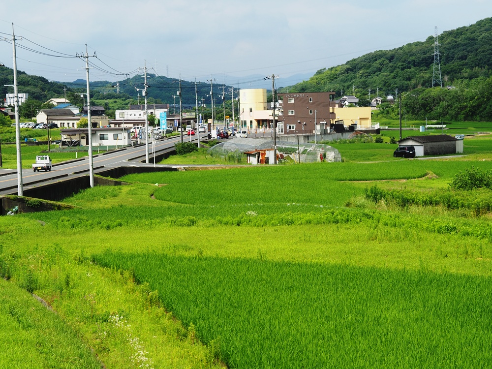ウッドストック 2階景色