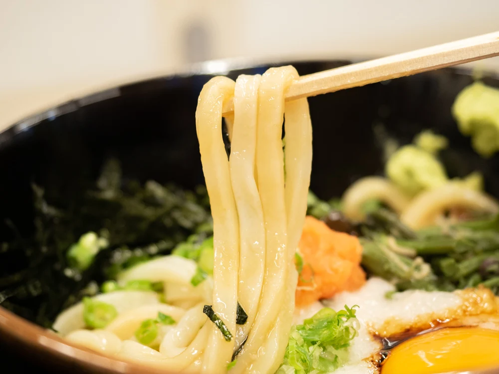 蔵:山かけうどん