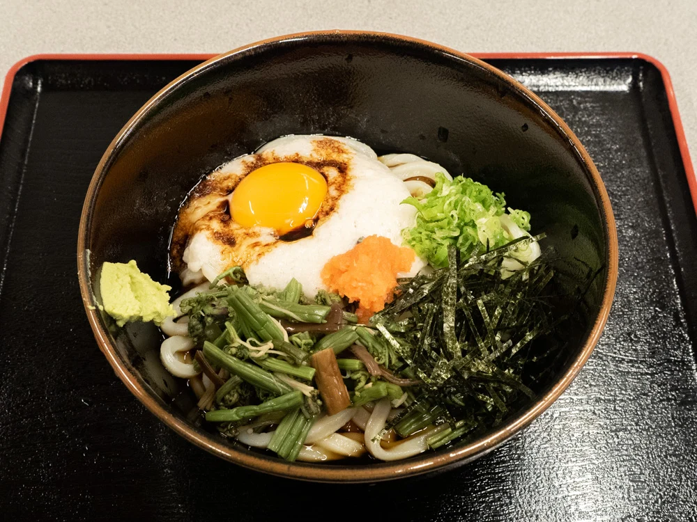 蔵:山かけうどん
