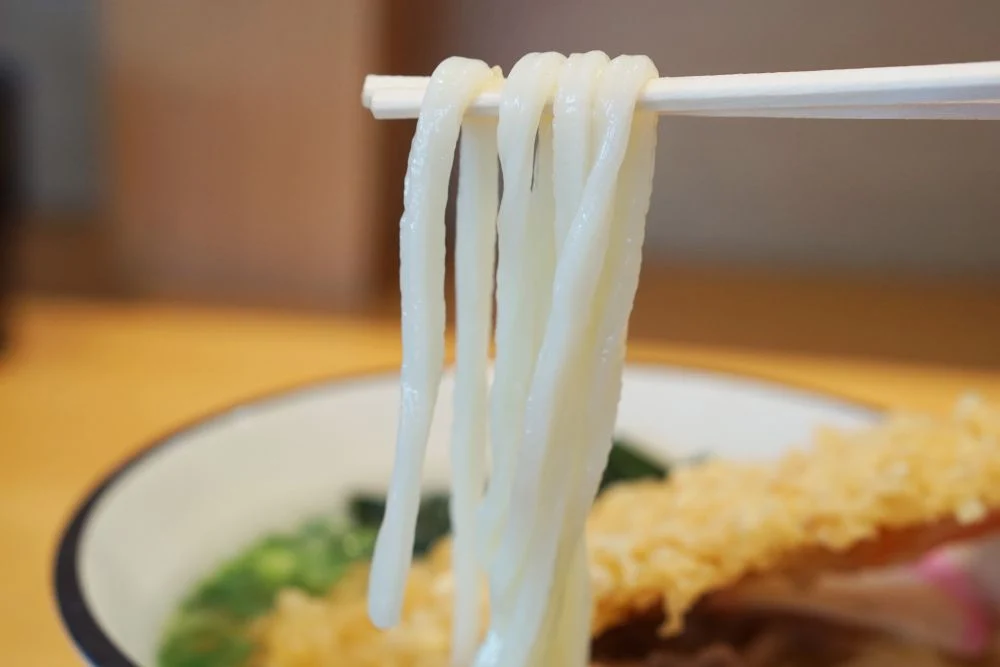 手打ちうどんさるや 肉天うどん