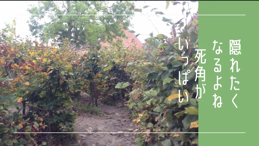 北欧保育園庭内死角