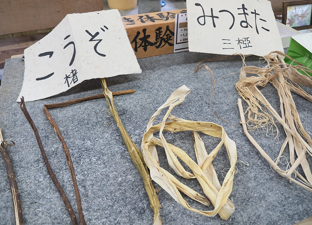 紙の館 和紙の原料