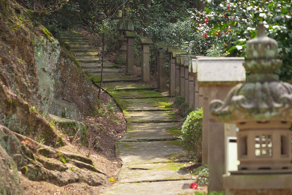 白雲大社の参道
