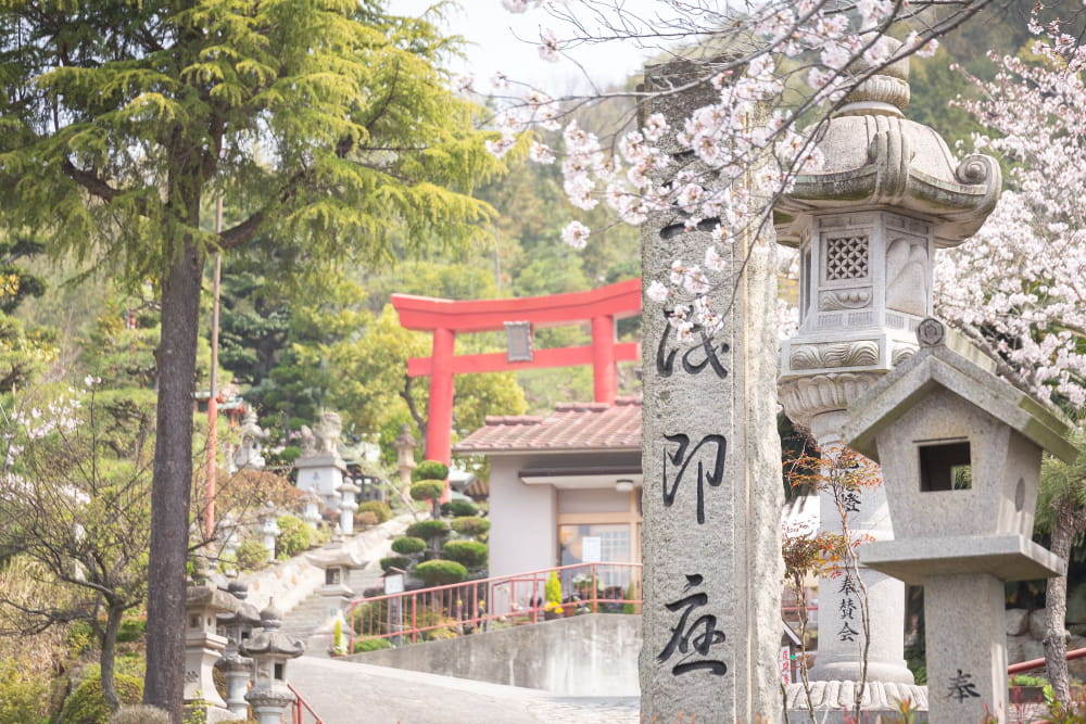 白雲大社の桜