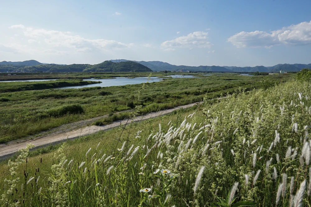 高梁川風景5