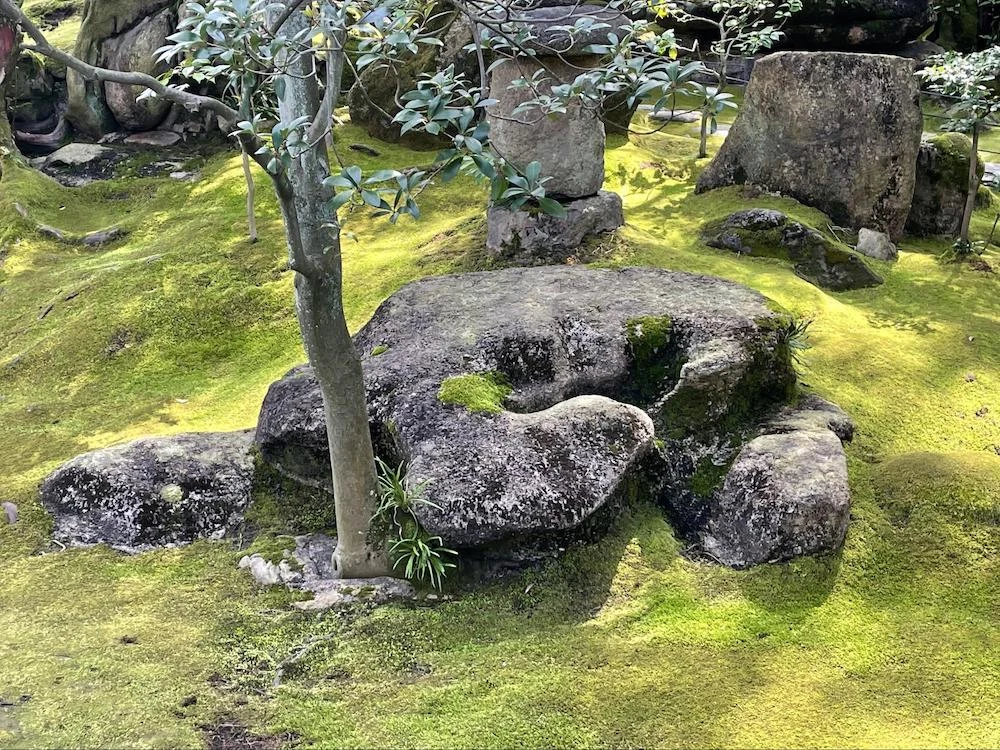 「旧野﨑邸住宅」 カメの岩
