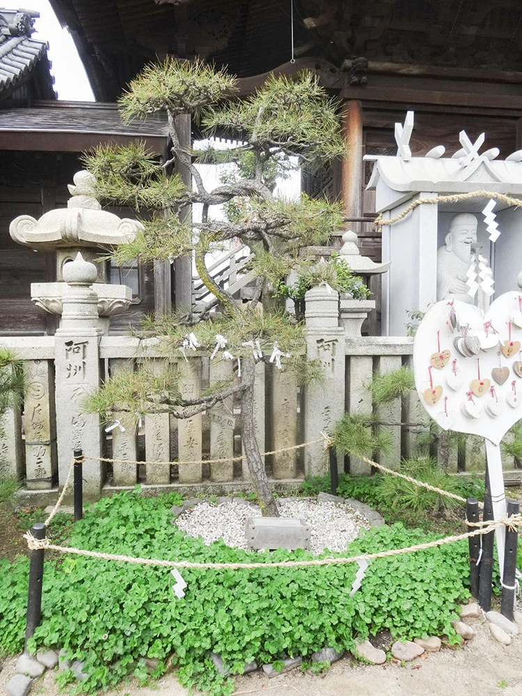 羽黒神社:むすびの松