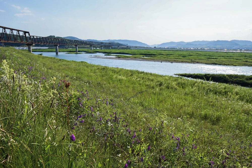 高梁川風景10