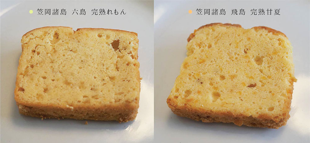 パシオン パウンドケーキ