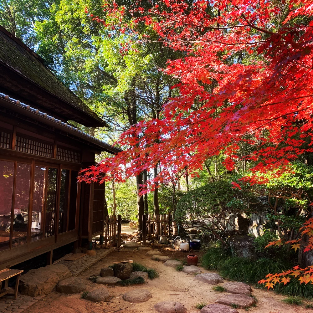 斎館 秋
